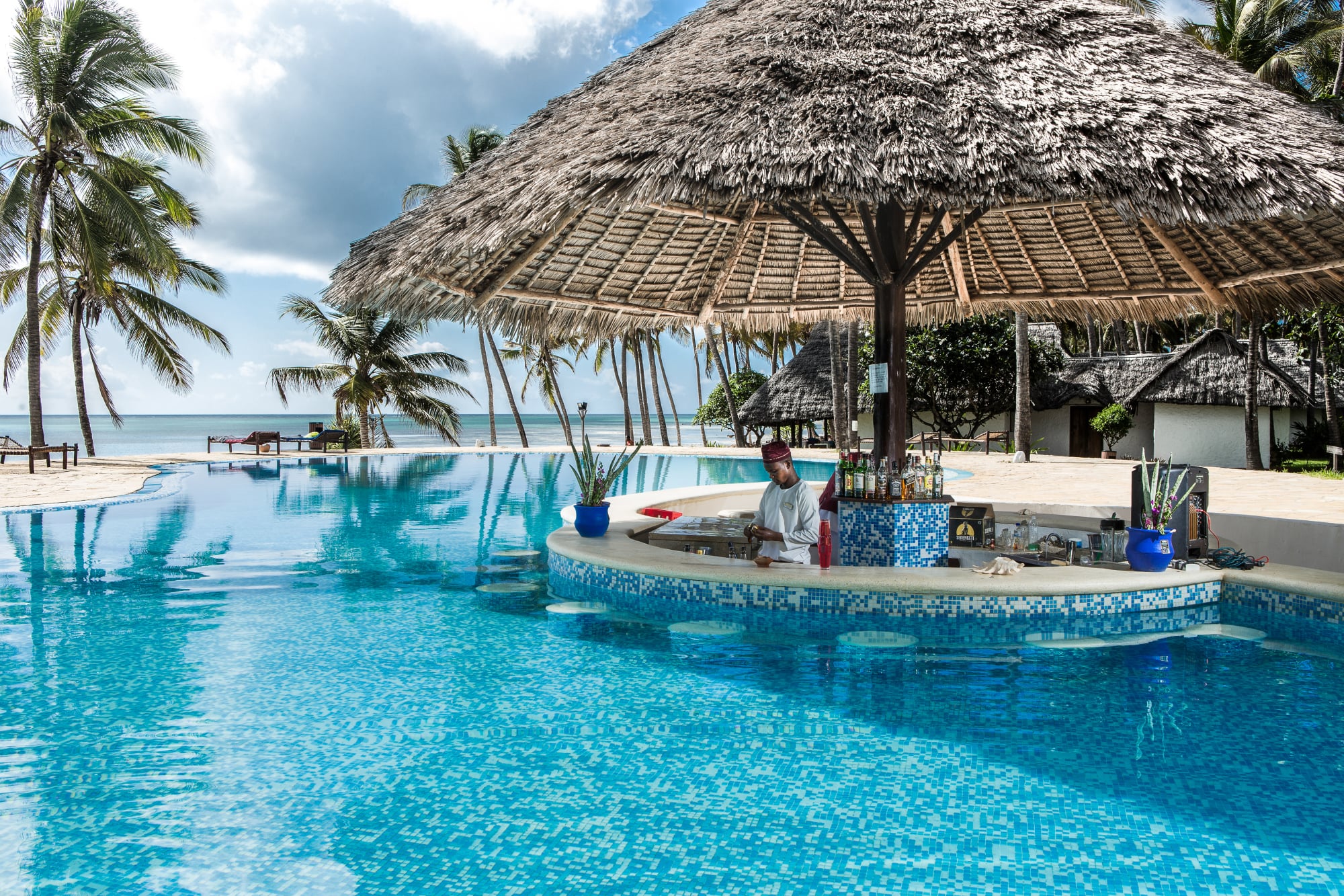 Swim Up Bar