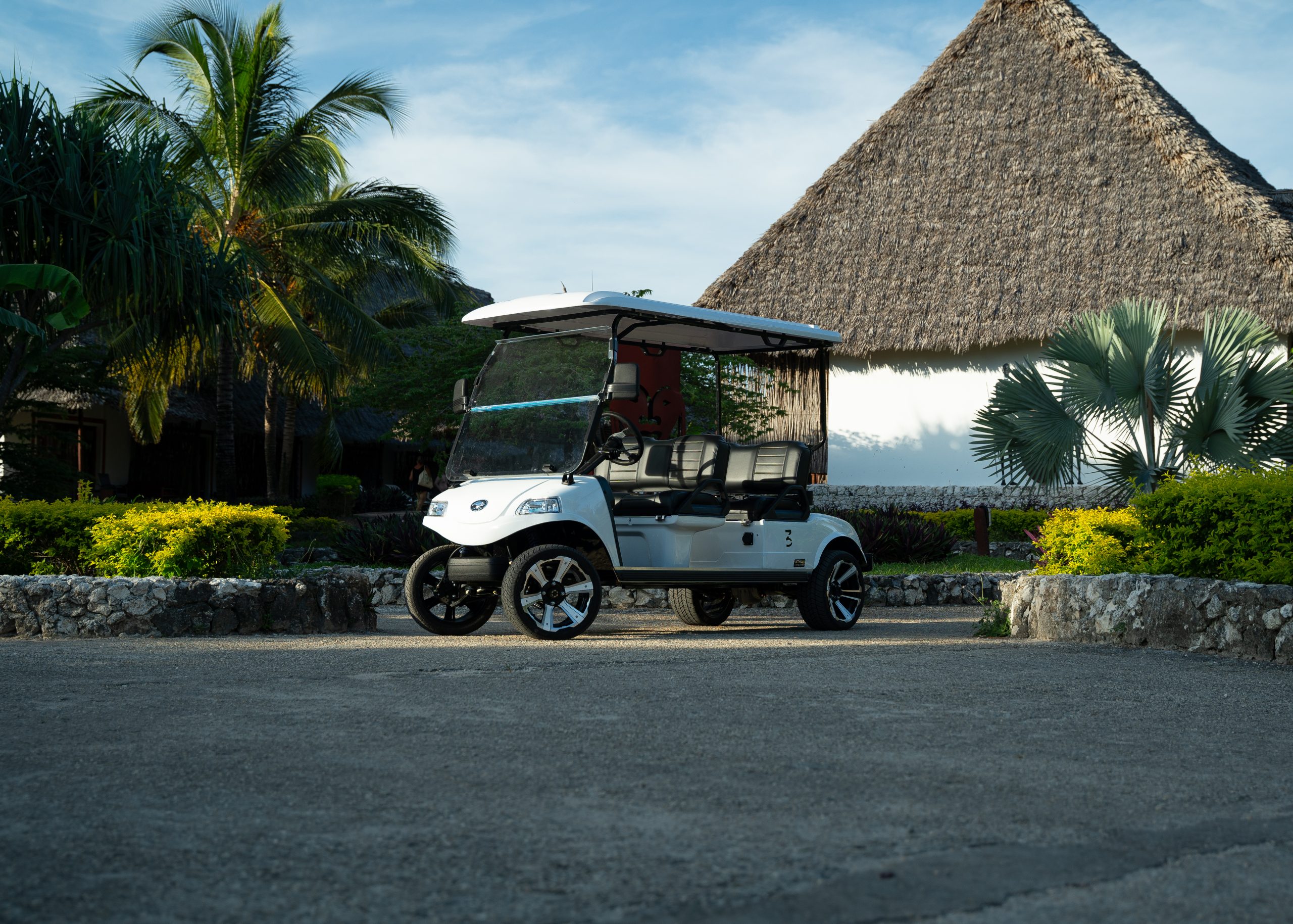 Karafuu electric cart