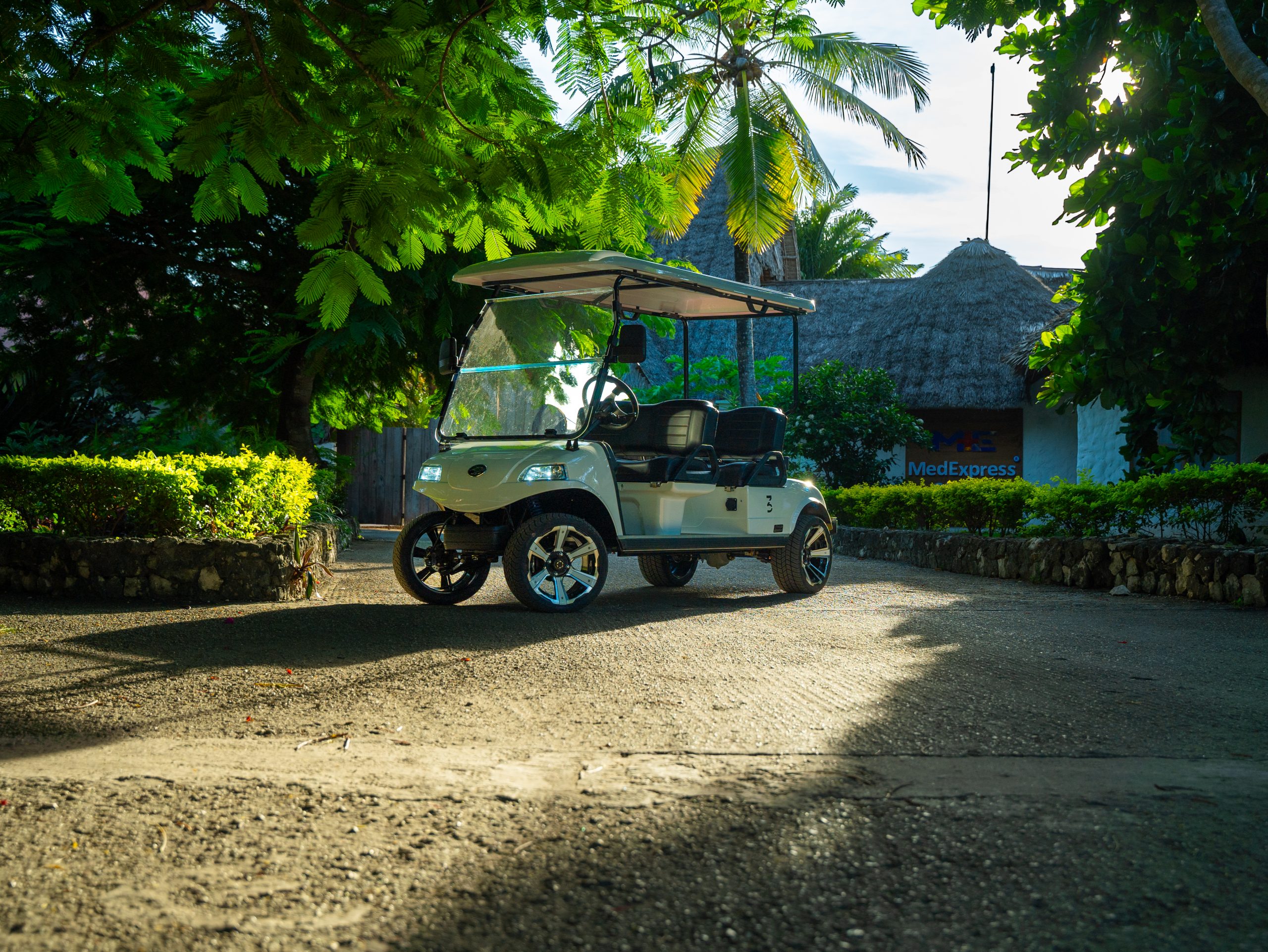 Karafuu electric cart