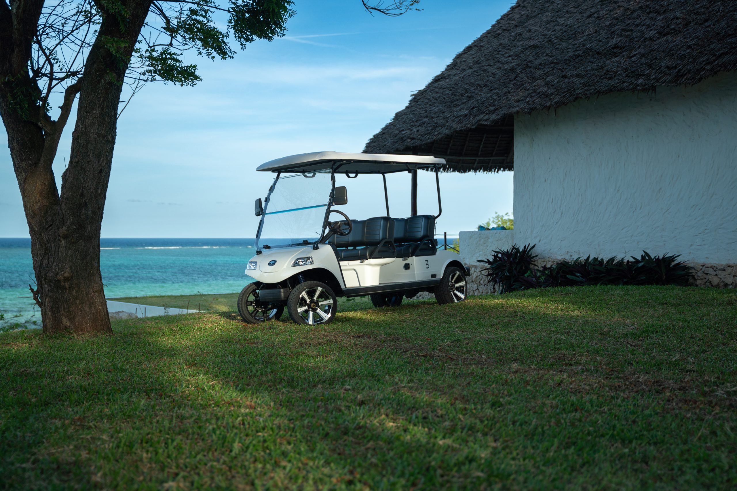 Karafuu electric cart