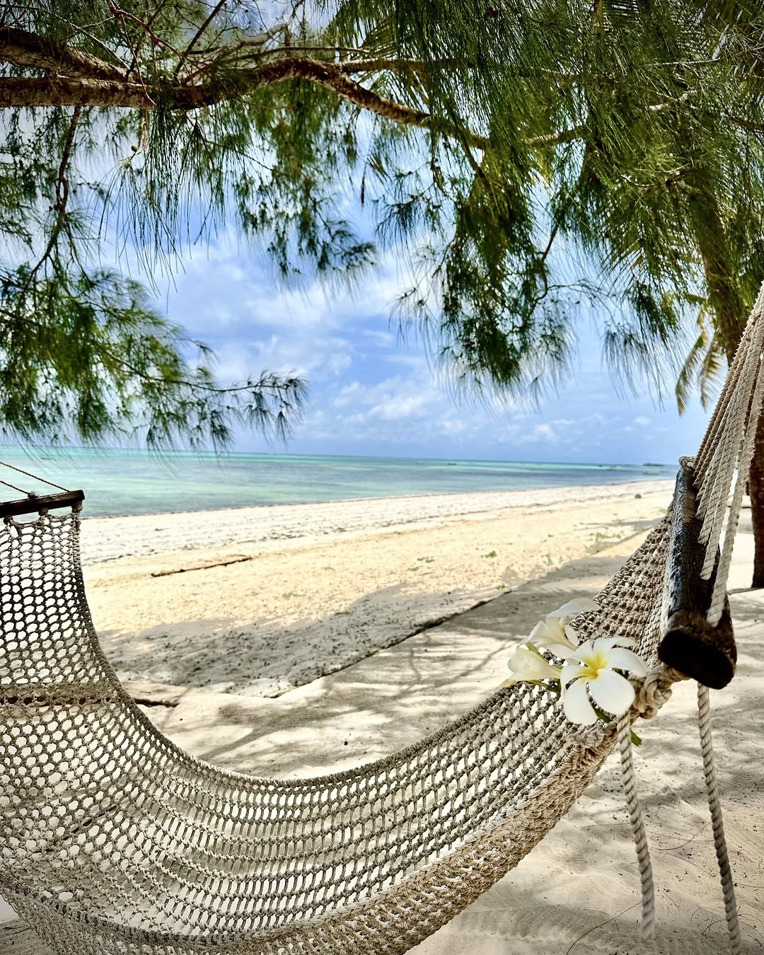 Nothing to do, all day, on purpose
🌴 🪢 🌊 ☀️ 🤍
Just a hammock, the shade of the palms and the sound of the waves. Slow down, you've earned it.

Your escape is one click away. Link In Bio

#karafuubeachresort #zanzibar #hammocklife #beachlife #relax #islandvibes