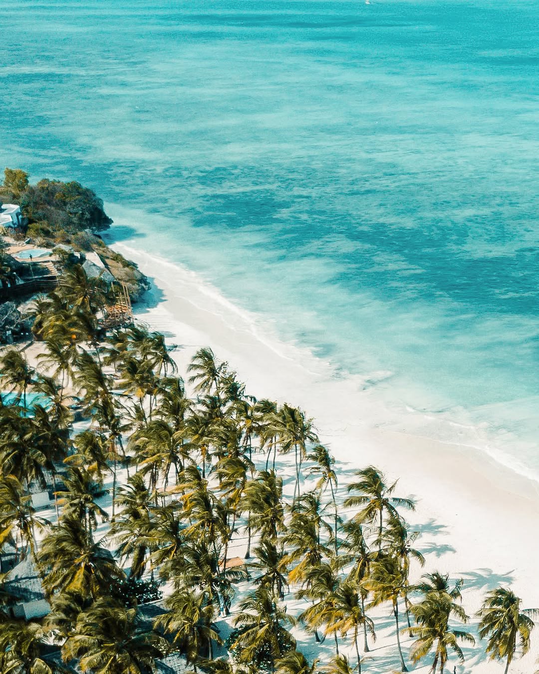 The Indian Ocean, seen from above
🚁 🌊 🐢 ☀️ 🤍
Endless shades of blue, the reef drawing lines under the surface, the coast stretching on and on.

Discover the view by our Link In Bio!

#karafuubeachresort #zanzibar #aerialview #droneview #indianocean #travelafrica